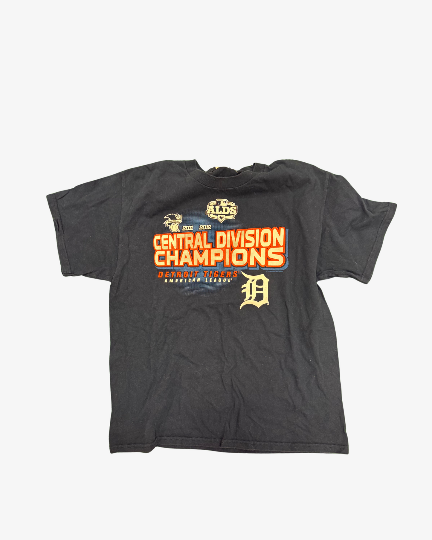 Detriot tigers division champs