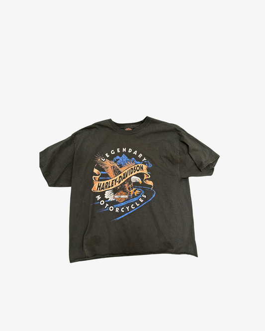 Harley davidson tee